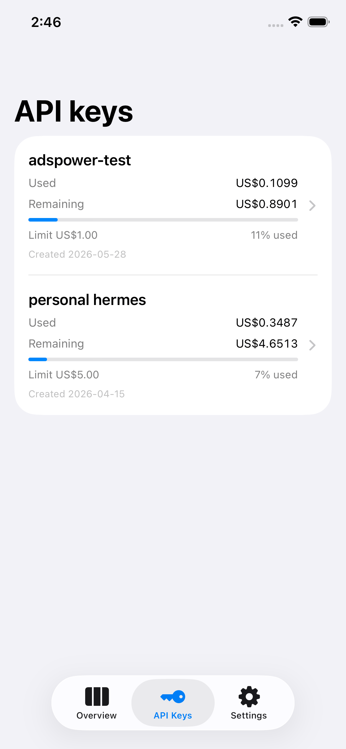 API keys with usage limits and remaining balance